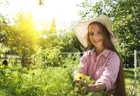 Caucasian woman examining plants in garden