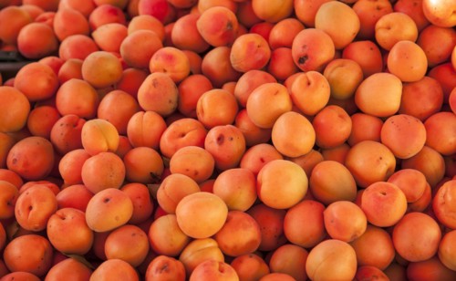 Close up of pile of peaches
