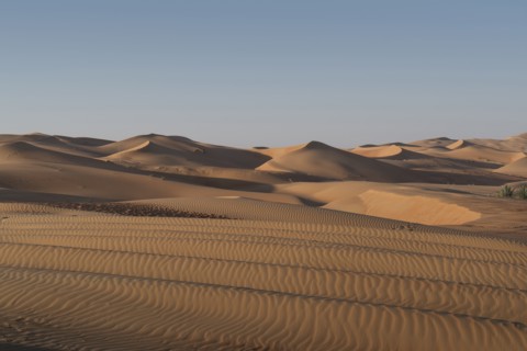 Sand dunes in desert landscape