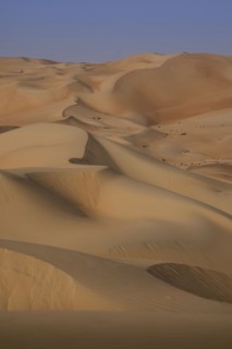 Sand dunes in desert landscape