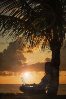 Silhouette of woman with laptop leaning on palm tree