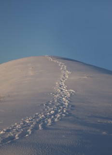Footprints in snow on hill