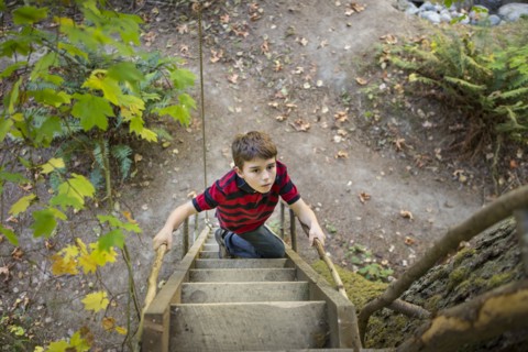 Caucasian boy climbing ladder to tree house