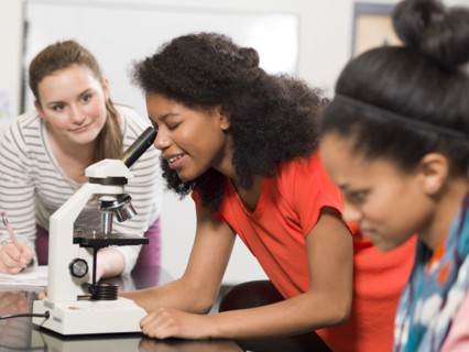 Students working together in chemistry lab