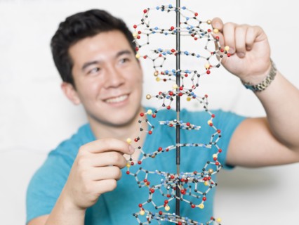 Mixed race student working on double helix model