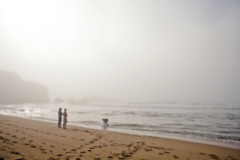Couple playing with dog on beach