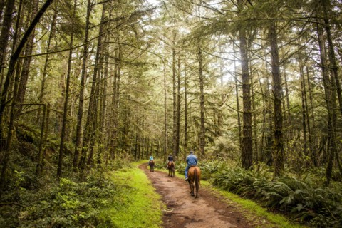 Caucasian ranchers riding horses in forest