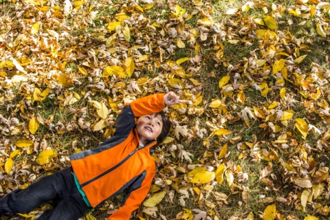 High angle view of mixed race boy laying in autumn leaves
