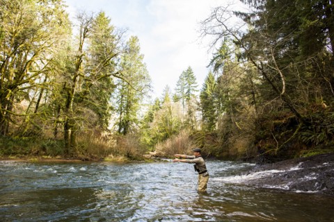 Caucasian fisherman fly-fishing in river