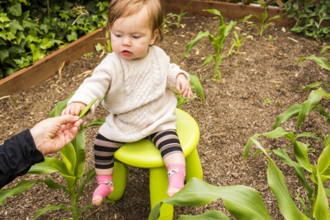 Caucasian mother giving vegetable to daughter in garden