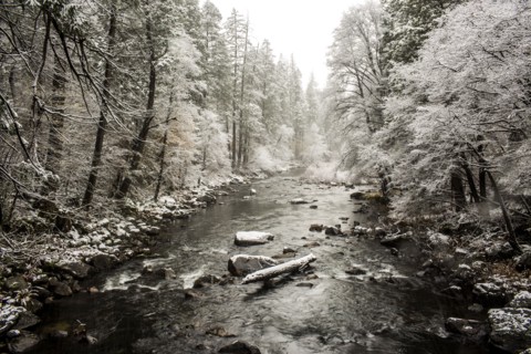 Stream flowing in snowy forest