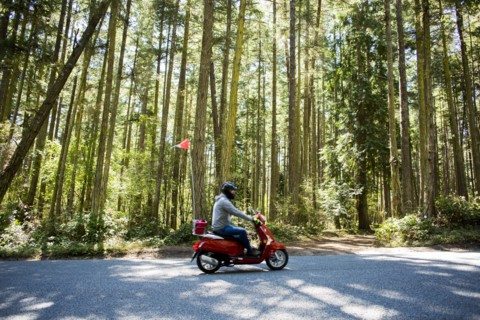 Person riding scooter on road near forest