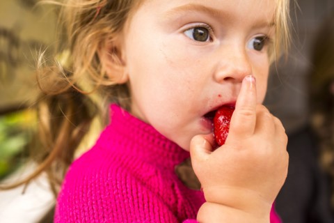 Caucasian girl eating strawberry