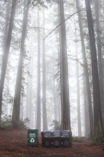 Recycling bin and trash cans in forest