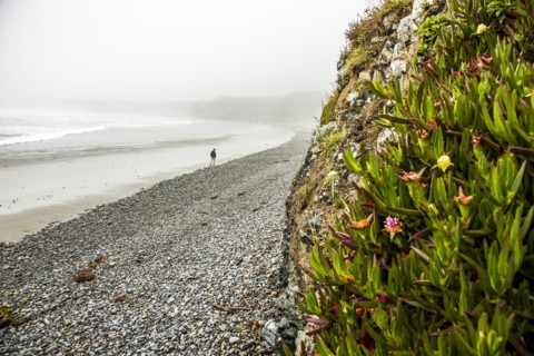 Distant Caucasian man walking on ocean beach