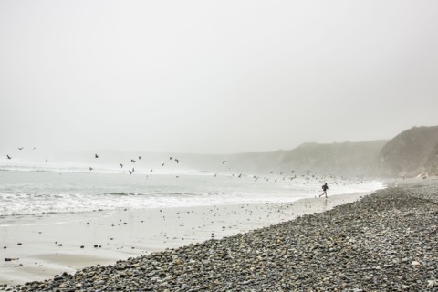 Distant Caucasian man running on ocean beach near birds