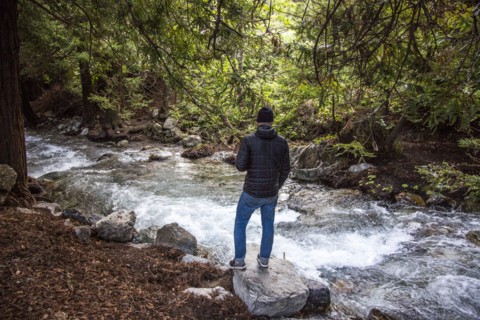 Caucasian man standing on rock near stream in woods