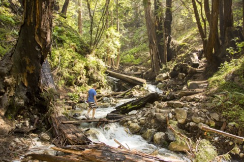 Caucasian man walking on wooden plank over forest stream