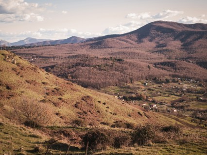 Fields and mountains in rural landscape