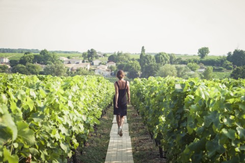 Caucasian woman walking on wooden walkway in vineyard