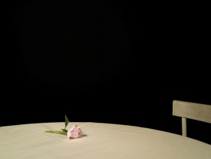 Rose on empty table