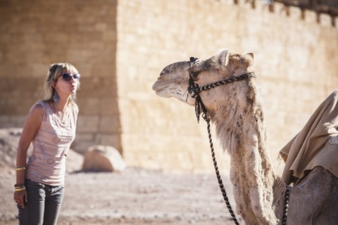 Caucasian woman admiring camel
