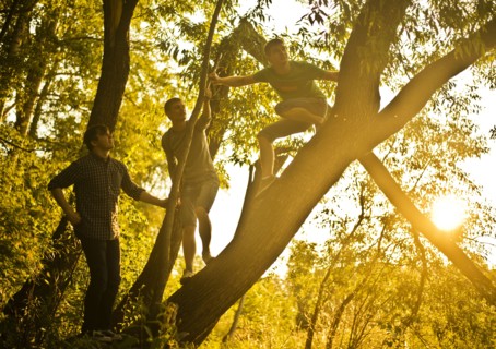 Caucasian men climbing tree in forest