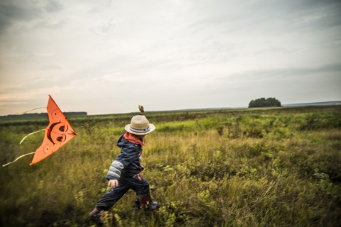 Caucasian boy flying kite in rural field
