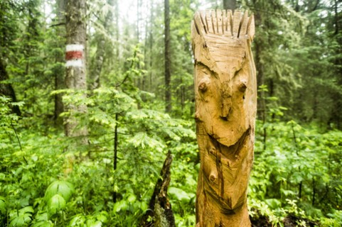 Close up of carved totem pole in forest