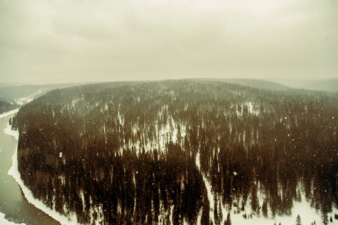 Aerial view of snowy remote forest