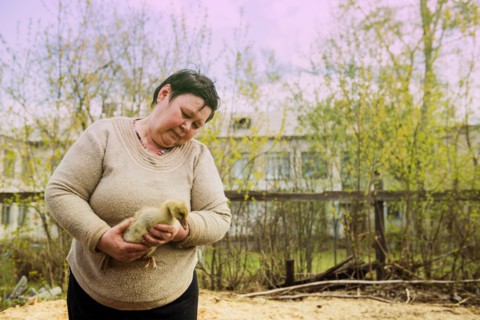 Caucasian farmer holding duckling on farm