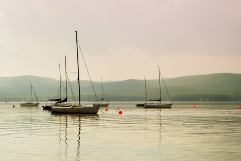 Boats floating in harbor