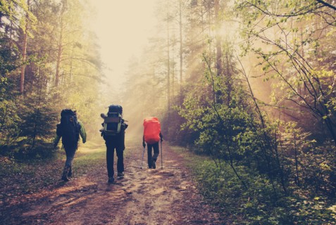 Backpackers hiking on dirt path in forest