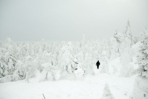 Caucasian hiker walking in snowy forest