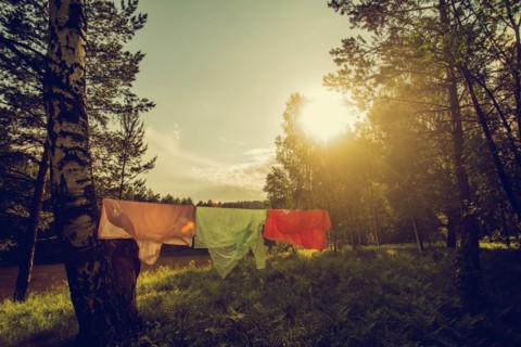 Clothesline hanging in rural field