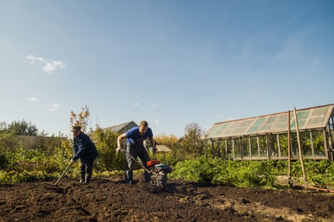 Caucasian men working in garden