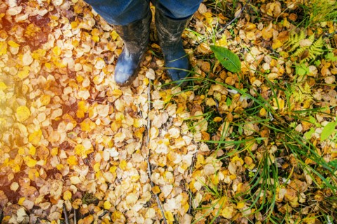 High angle view of woman standing in autumn leaves