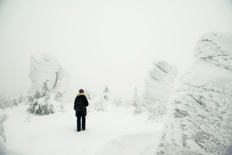 Hiker standing in snowy forest