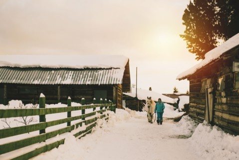 Farmer walking horse on snowy farm
