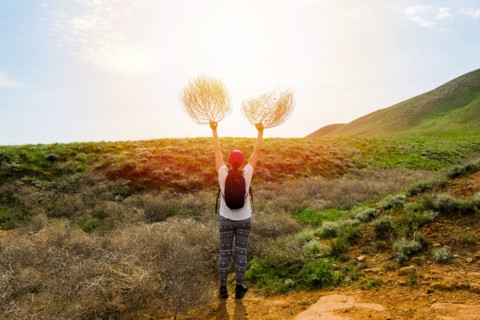 Woman standing in rolling landscape holding branches
