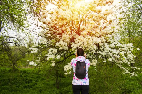 Caucasian woman smelling flowers on tree