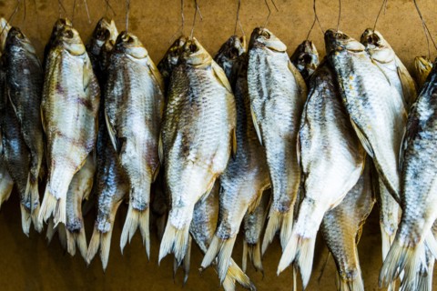 Sun-dried fish hanging on hooks