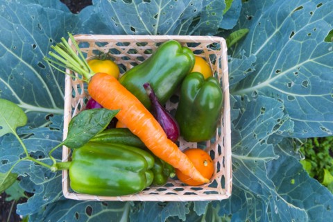 Close up of basket of fresh vegetables on leaves