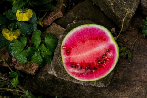 Watermelon slice on rock
