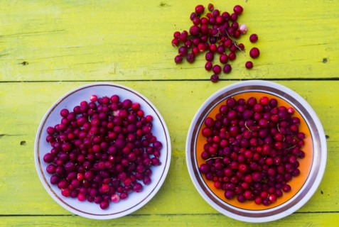 Plates of red berries on wooden table