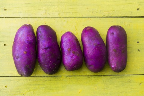 Purple potatoes in a row on wooden table