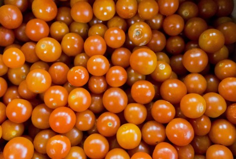 Pile of tomatoes