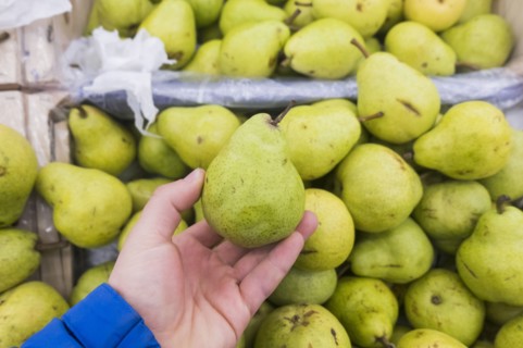 Hand holding green pear