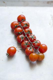 Tomatoes on vine