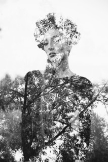Double exposure of Middle Eastern woman and tree branches